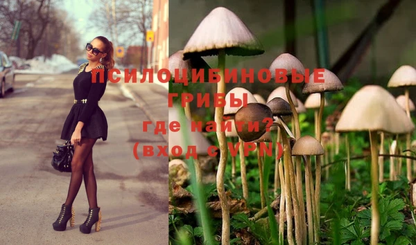 бошки Алексеевка