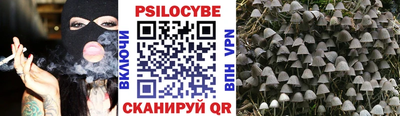 Псилоцибиновые грибы Cubensis Новосибирск